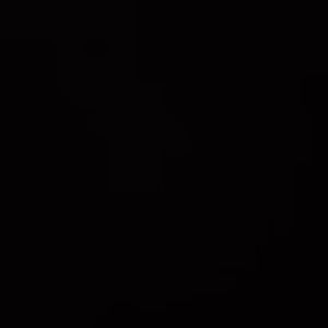 Meet your Posher, Fowler